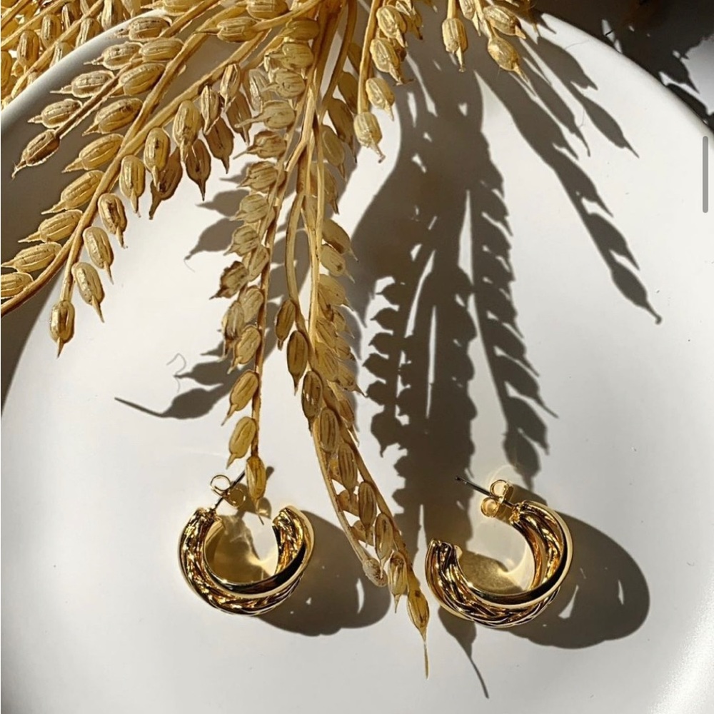 Twisted Hoop Earrings